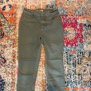 Blue Spice Army Green Jeggings